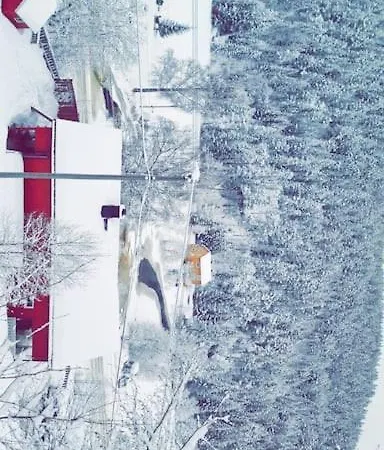 Backpack Park Telemark *