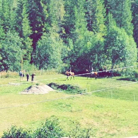 Backpack Park Telemark