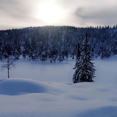 Backpack Park Telemark * Drangedal